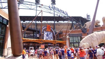 Daily News - July 19th