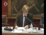 Roma - Crisi Alitalia, audizione Delrio (19.07.17)