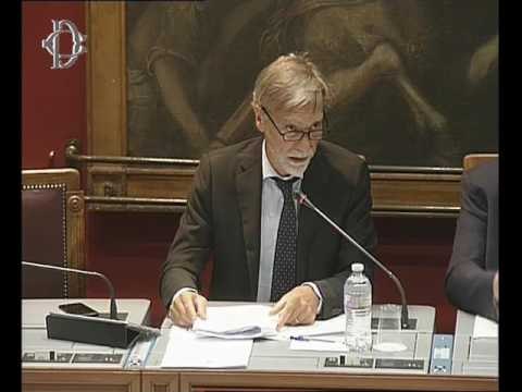 Roma - Crisi Alitalia, audizione Delrio (19.07.17)