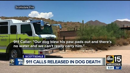 Dog collapses on trail during summer heat