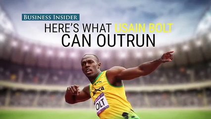 Here are all the animals Usain Bolt can outrun