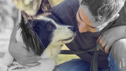 O cão só é o melhor amigo do homem altruísta