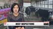Korean strengthening inspection on American beef after mad cow disease detection in Alabama