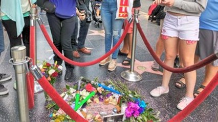 As várias mortes de 2016 tem um motivo