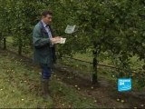 FRANCE24-EN-Report- A way to reduce pesticide