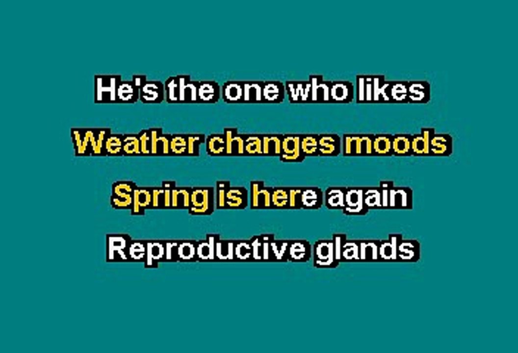 Nirvana - In bloom (Karaoke)