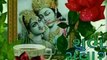 Jai shree Radhe Krishna