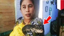 Wanita melahirkan bayi biawak di Sulawesi Selatan - TomoNews