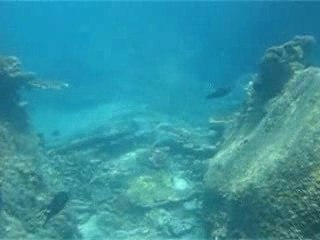 Requins Pointe Noire - Priorité à droite