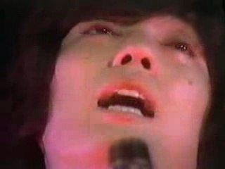 The tigers-Beautiful concert