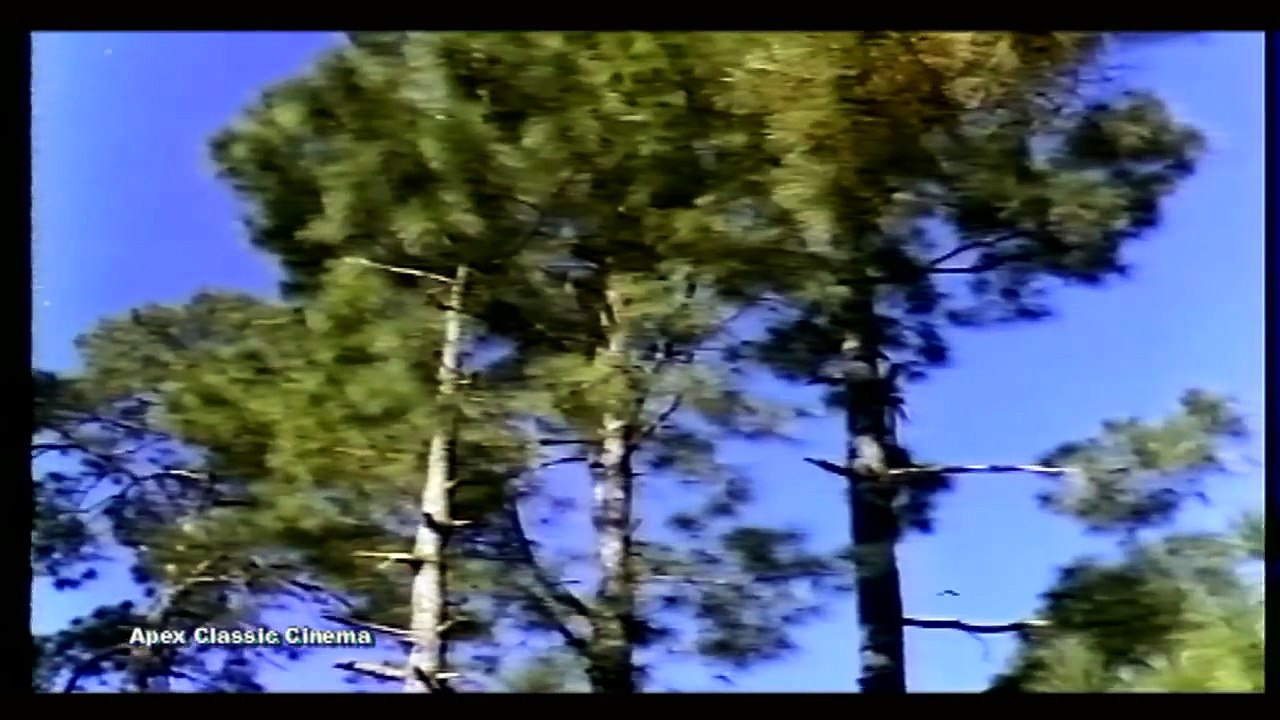 Salam-e-Mohabbat bada khoobsurat - Zeba Mohammad Ali - Noor Jahan