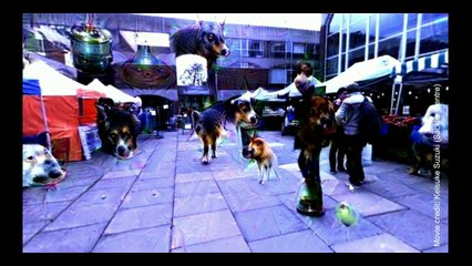 Your brain hallucinates your conscious reality | Anil Seth