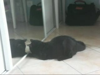 Changa dans tous ces états