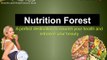 Natural Vitamins and Herbal Extracts Store - Nutrition Forest