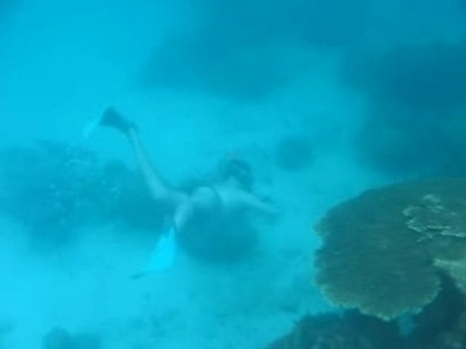 Apnée en eaux turquoises