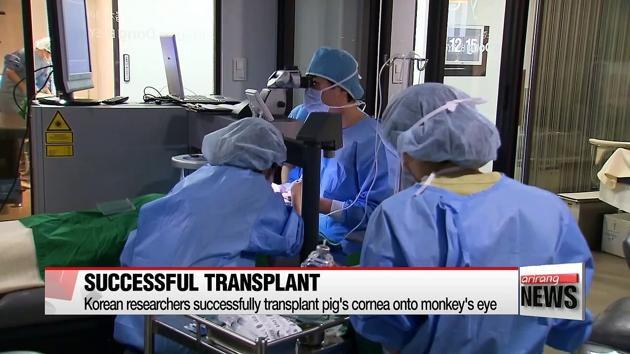 Korean researchers claim successful transplant...
