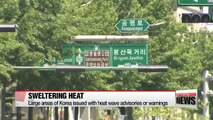 Large areas of  Korea issued with heat wave advisories or warnings