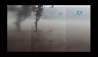 Sığınacak yer bulamadılar! Yüzlercesi telef oldu