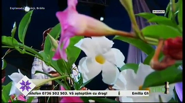 Mariana Melinte Ciobanu - Festivalul Cantecul de dragoste de-a lungul Dunarii - Braila - 19.07.2017