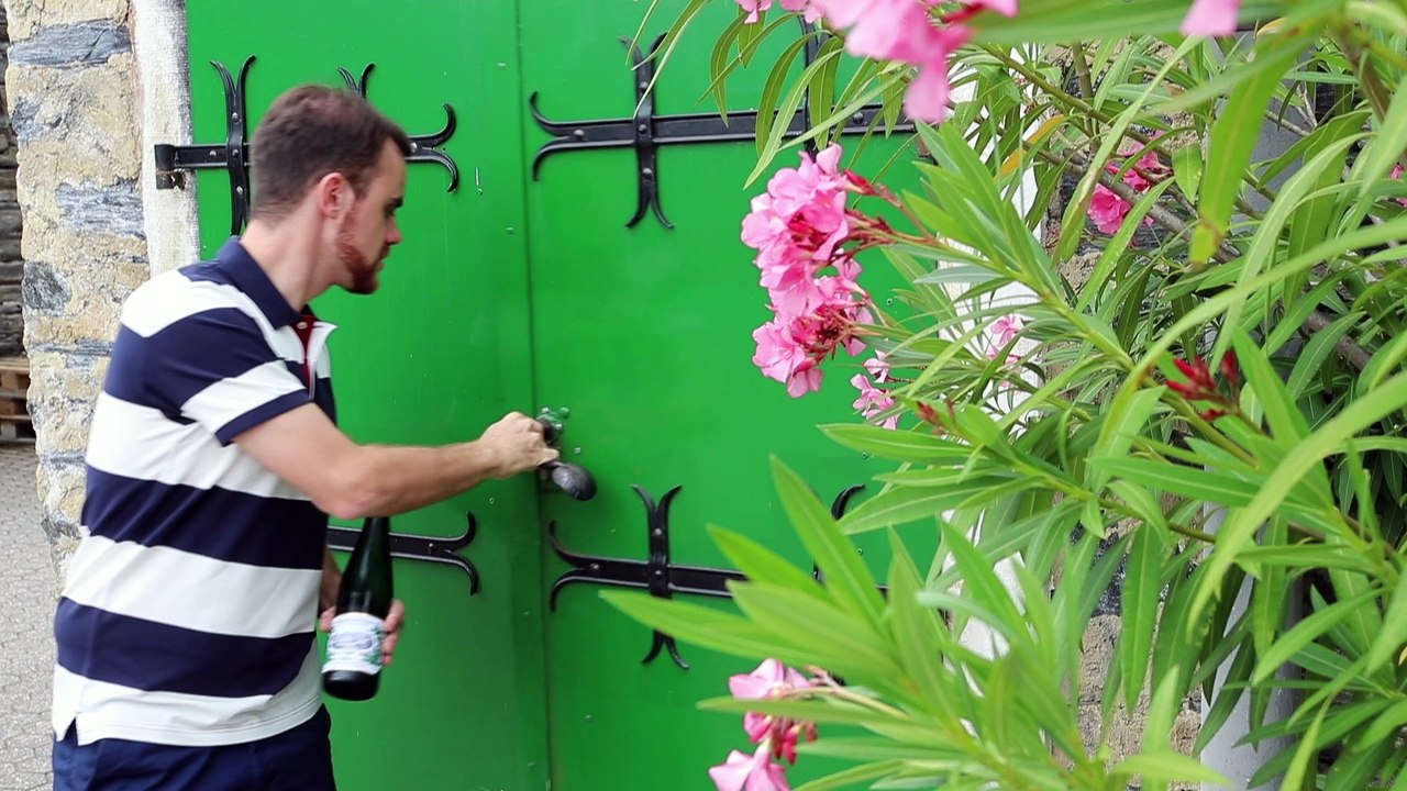 Weingut max ferd. richter, mülheim an der mosel