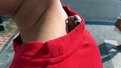 Ce perroquet a trouvé la cachette parfaite... regardez un peu!