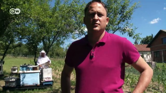 Gefahr durch Minen in Bosnien | DW Deutsch