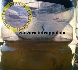 Trappola per zanzare funzionante