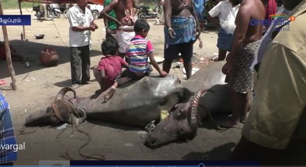 Villupuram Temple Festival-Oneindia Tamil