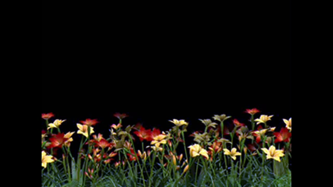 MELEĞİM Şiir Seslendiren  Klip AYNUR AVCI ( Kızıma İtafen)