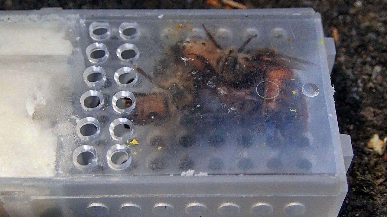 P7190742