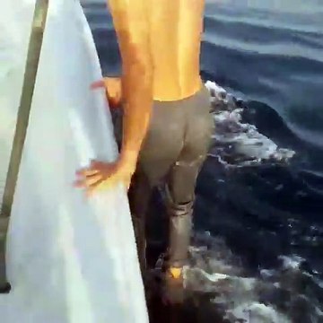 Un pêcheur iranien scandalise les internautes en marchant sur le dos d'un requin-baleine