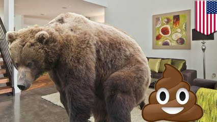 Bear walks into Wyoming home, poops, then leaves