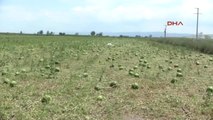 Bursa'da Afetzede Çiftçiler Khk Çıkarılmasını Istiyor -1