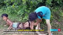 BOCAH KEREN PEMBURU PITON