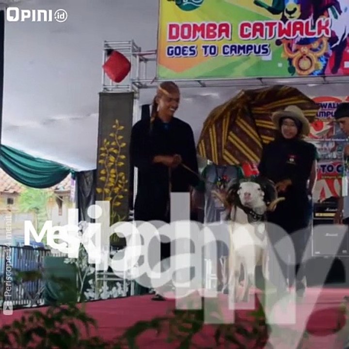 Domba Catwalk