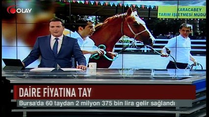 Daire fiyatına tay (Haber 19 07 2017)