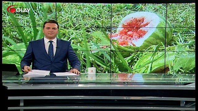 Bursa'da dolu kabusu (Haber 19 07 2017)