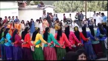 Devbhomi Lok Kala Udgam Charitable Trust Mumbai Pahari Dance in Village Kotha - Cultural Dance