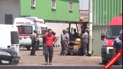 Adana'da kan donduran kaza