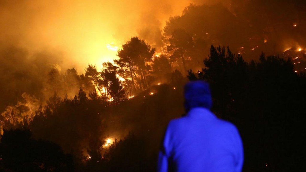 Zahl der Waldbrände in Europa verdreifacht - Exklusiv