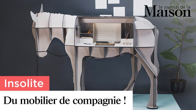 Déco Insolite : du mobilier de compagnie !