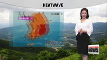 First heatwave warning issued in Seoul