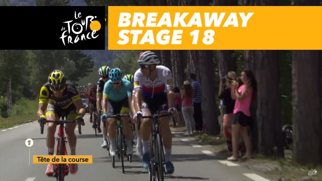 54 coureurs dans l'échappée / 54 riders in the breakaway group - Étape 18 / Stage 18 - Tour de France 2017