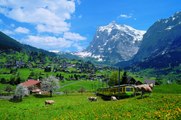 Jungfrau - Top of Europe  Grindelwald  Switzerland