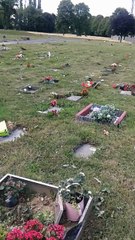 Cimetière de Robermont: "Les ouvriers passent la tondeuse sans faire attention aux plantes"