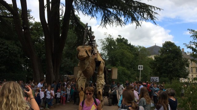 Rock ici mômes 2017