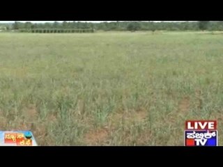 Public News | Top Stories | Sep 9th, 2015 | 7:30 AM