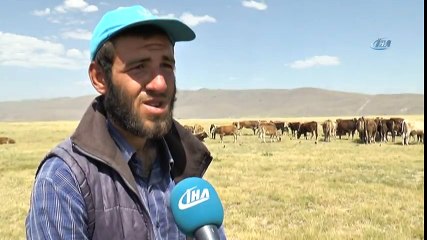 Kurbanlıklar Cep Yakacak