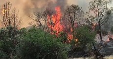 Fire Crews Battle Fast-Moving Detwiler Fire in Mariposa County