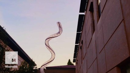 An incredible new robot inspired by vines can grow 25,000 times its original size